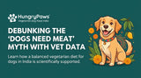 Debunking the Meat Myth: A Guide to a Balanced Vegetarian Diet for Dogs India