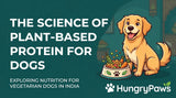 The Science of Plant-Based Protein: Why plant-based dog food India is the Future of Canine Nutrition