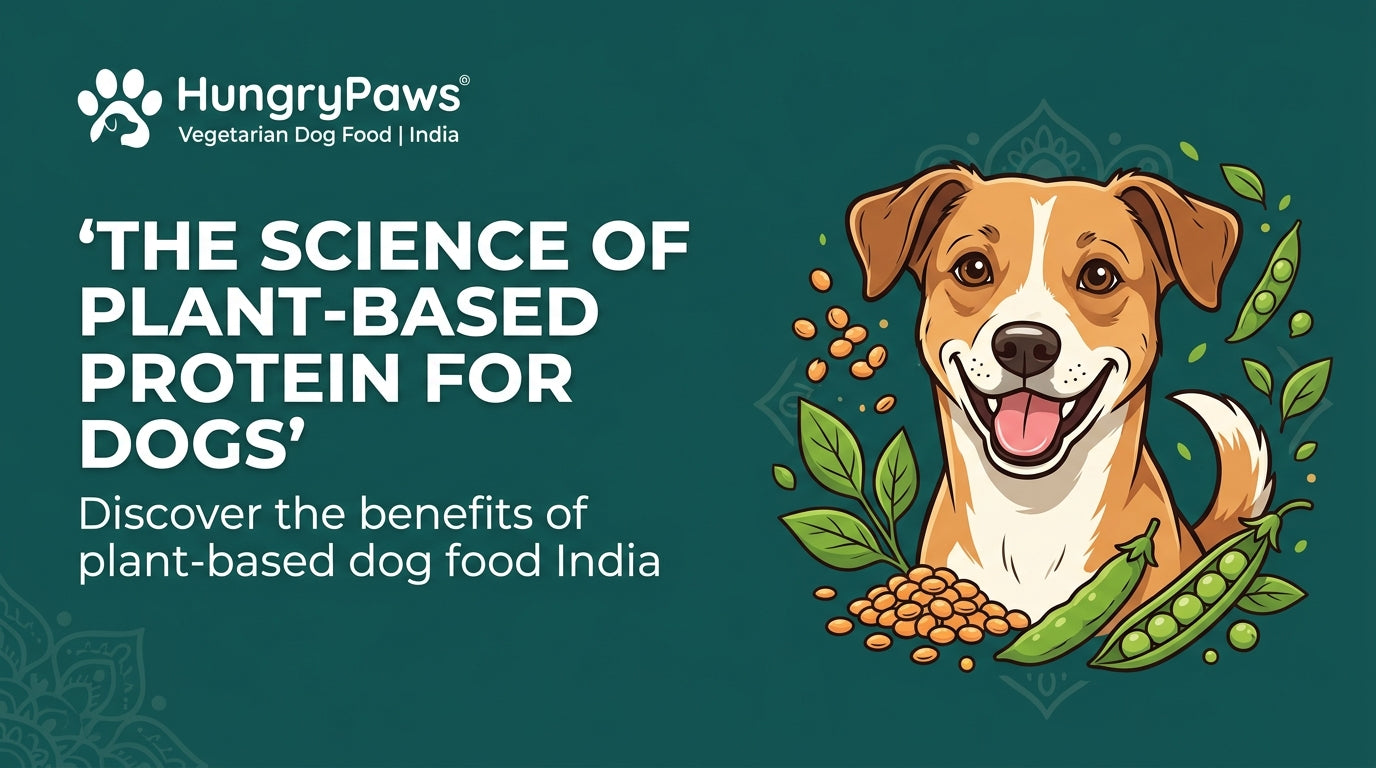 plant-based dog food India