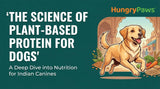 The Science of Plant-Based Protein for Dogs: Thriving on Vegetarian Dog Food in India (Jun 01, 2026)