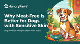 Why Meat-Free is Better: The Best Dog Food for Allergies Vegetarian India (Apr 29, 2026)