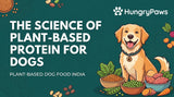 The Science of Plant-Based Protein: Why Plant-Based Dog Food India is the Future of Canine Nutrition