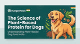 The Science of Plant-Based Protein: Why Plant-Based Dog Food India is the Future of Canine Nutrition
