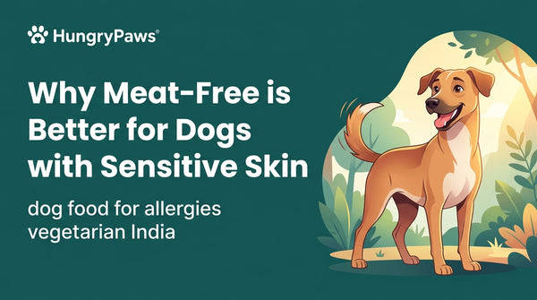 Why Meat-Free is Better for Dogs with Sensitive Skin: Best Dog Food for Allergies Vegetarian India