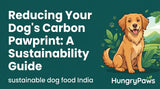 Reducing Your Dog's Carbon Pawprint: The Definitive Guide to Sustainable Dog Food India