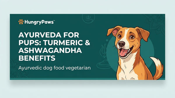 Ayurveda for Pups: Unlocking Turmeric & Ashwagandha Benefits in Ayurvedic Dog Food Vegetarian (Jul 28, 2026)