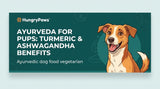 Ayurveda for Pups: Unlocking Turmeric & Ashwagandha Benefits in Ayurvedic Dog Food Vegetarian (Jul 28, 2026)