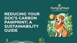 Reducing Your Dog's Carbon Pawprint: A Guide to Sustainable Dog Food India (May 22, 2026)