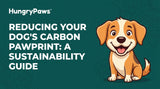 Reducing Your Dog's Carbon Pawprint: The Ultimate Guide to Sustainable Dog Food India (May 01, 2026)