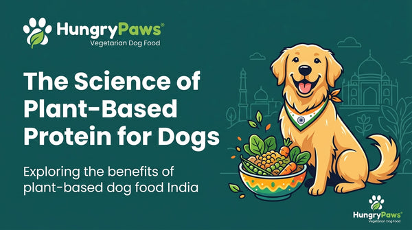 The Science of Plant-Based Protein for Dogs: Unlocking Optimal Health with Plant-Based Dog Food India (May 25, 2026)