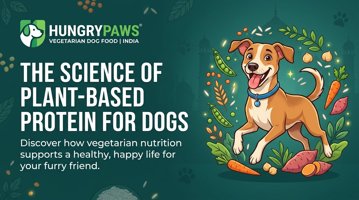plant-based dog food India