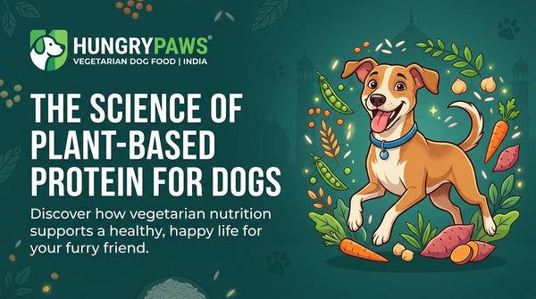 The Science of Plant-Based Protein for Dogs: A Deep Dive for Indian Pet Parents (May 18, 2026)