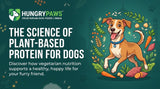 The Science of Plant-Based Protein for Dogs: A Deep Dive for Indian Pet Parents (May 18, 2026)