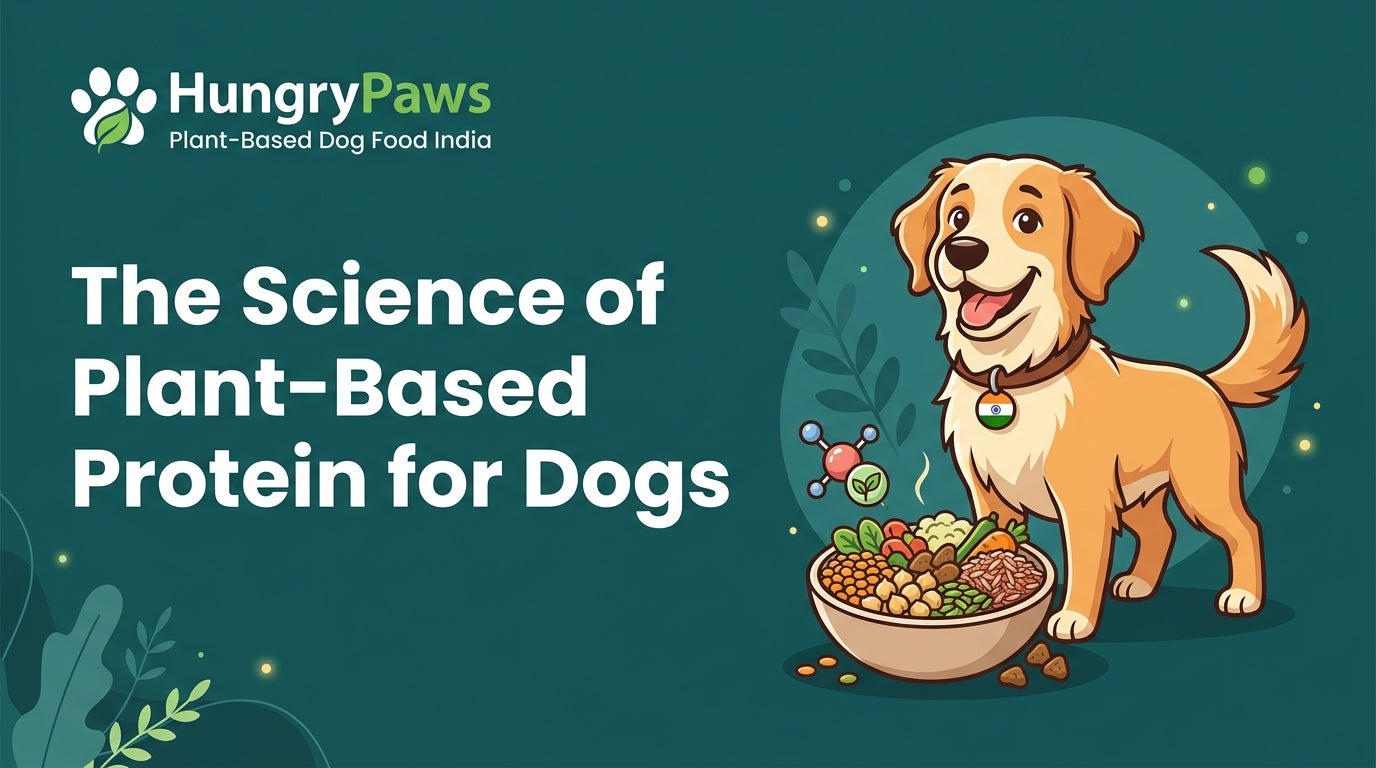 The Science of Plant-Based Protein for Dogs: A Deep Dive into Plant-Based Dog Food India