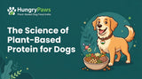 The Science of Plant-Based Protein for Dogs: A Deep Dive into Plant-Based Dog Food India