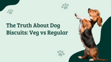 The Truth About Dog Biscuits: Veg vs Regular