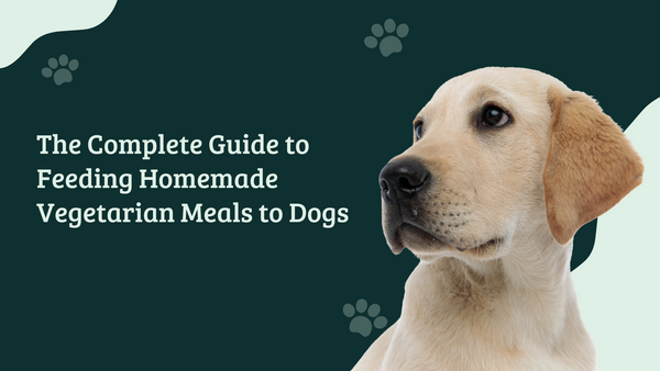 The Complete Guide to Feeding Homemade Vegetarian Meals to Dogs
