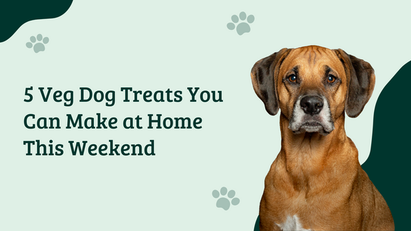 5 Veg Dog Treats You Can Make at Home This Weekend