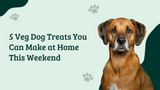 5 Veg Dog Treats You Can Make at Home This Weekend