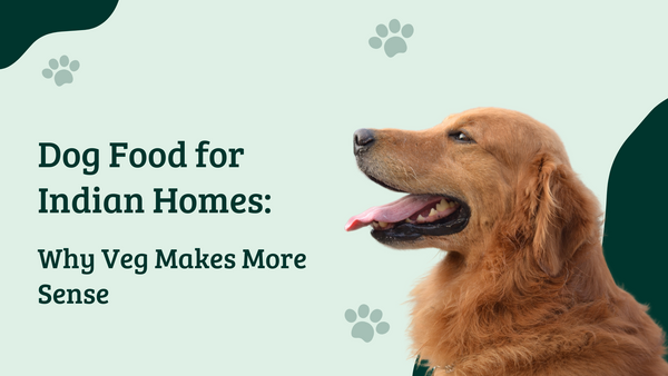 Dog Food for Indian Homes: Why Veg Makes More Sense
