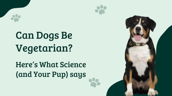 Can Dogs Be Vegetarian? Here’s What Science (and Your Pup) says