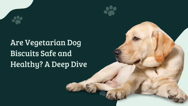 Are Vegetarian Dog Biscuits Safe and Healthy? A Deep Dive