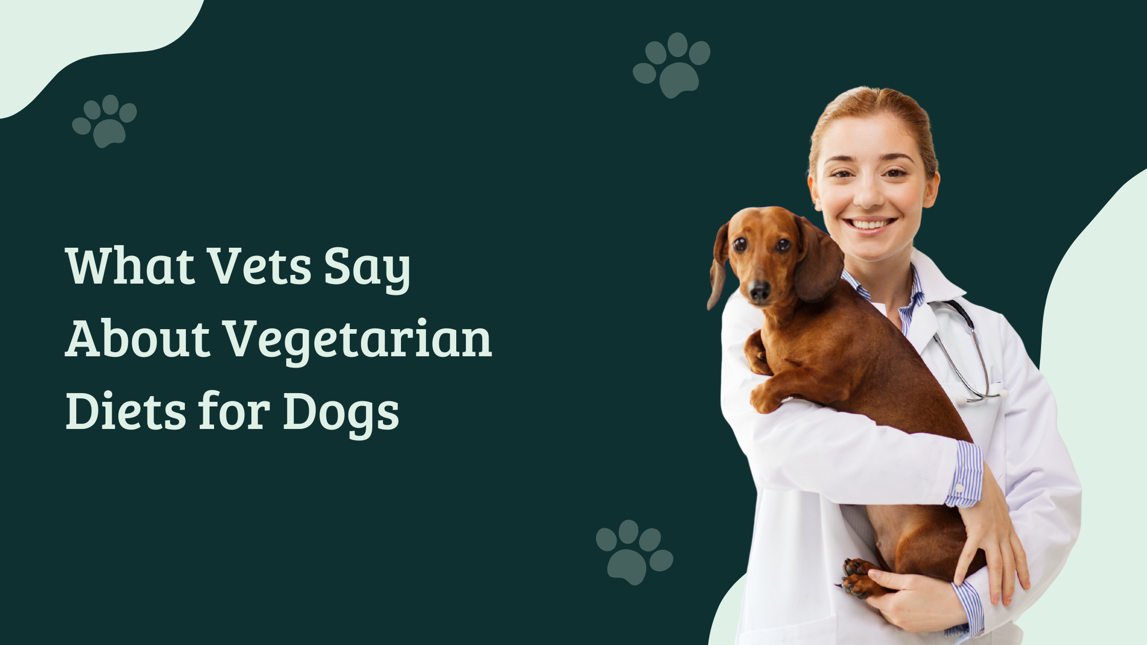 Veterinarian holding a dog with text saying What Vets Say About Vegetarian Diets for Dogs – Hungrypaws Blog Banner