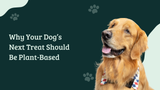 Why Your Dog’s Next Treat Should Be Plant-Based