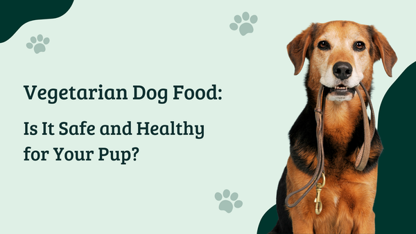 Vegetarian Dog Food: Is It Safe and Healthy for Your Pup?