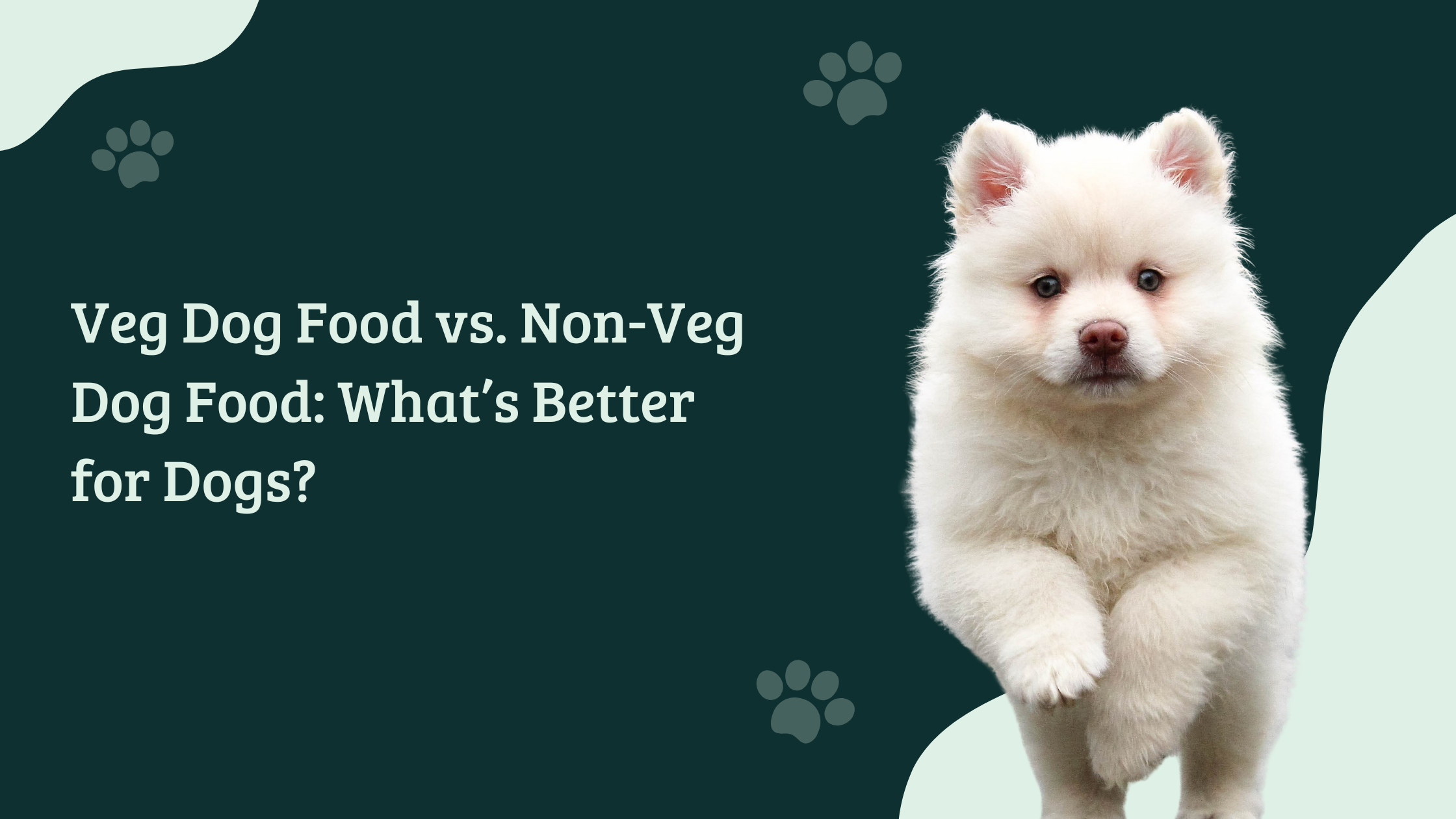 White fluffy puppy running playfully beside the blog title “Veg Dog Food vs. Non-Veg Dog Food: What’s Better for Dogs?” on a dark green background with paw-print graphics.