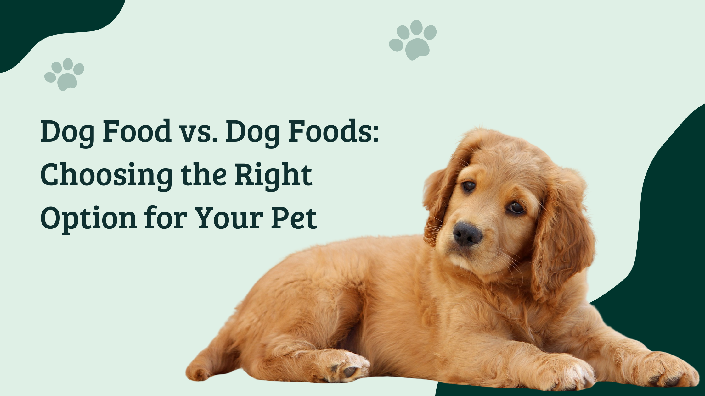 Golden retriever puppy lying down beside blog title text ‘Dog Food vs. Dog Foods: Choosing the Right Option for Your Pet’ on a green background – banner image for The Hungry Paws blog about choosing the best dog food and vegetarian food for dogs