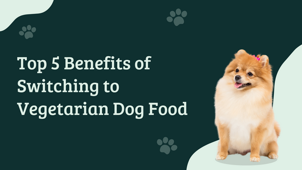 Top 5 Benefits of Switching to Vegetarian Dog Food