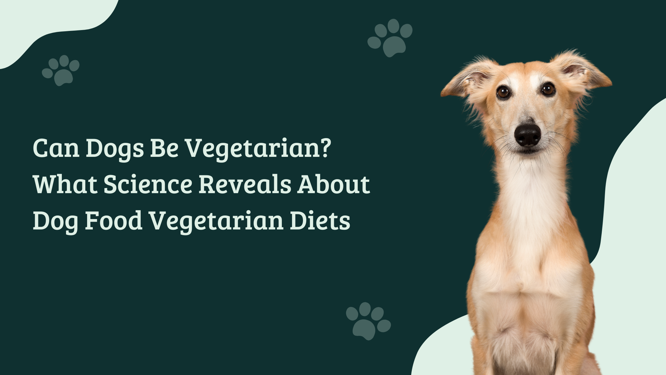 Golden-colored dog sitting against a dark green background beside the text ‘Can Dogs Be Vegetarian? What Science Reveals About Dog Food Vegetarian Diets’, blog banner for The Hungry Paws featuring vegetarian dog food insights.