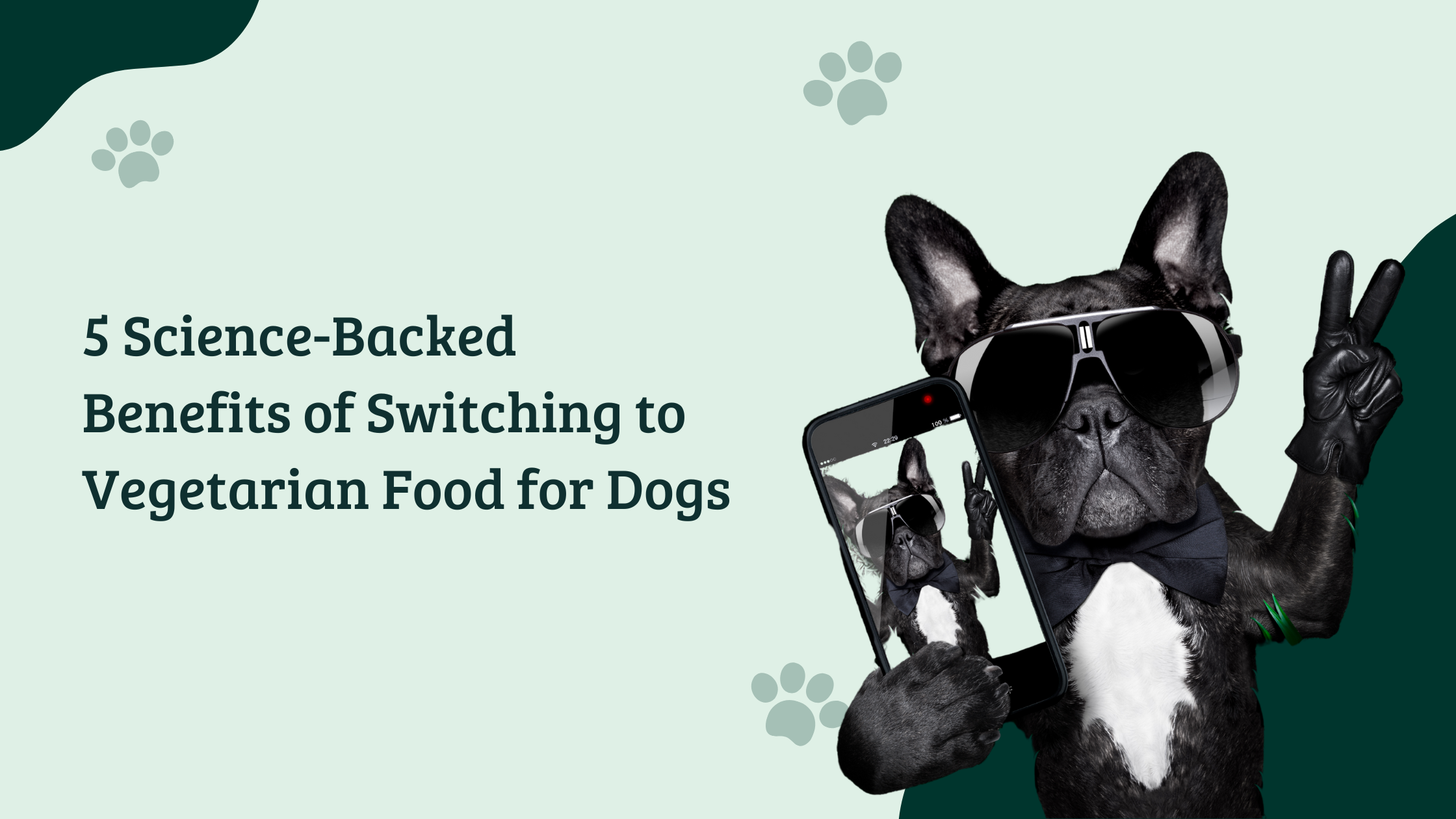 French Bulldog wearing sunglasses and gloves posing with a smartphone, promoting The HungryPaws blog titled ‘5 Science-Backed Benefits of Switching to Vegetarian Food for Dogs