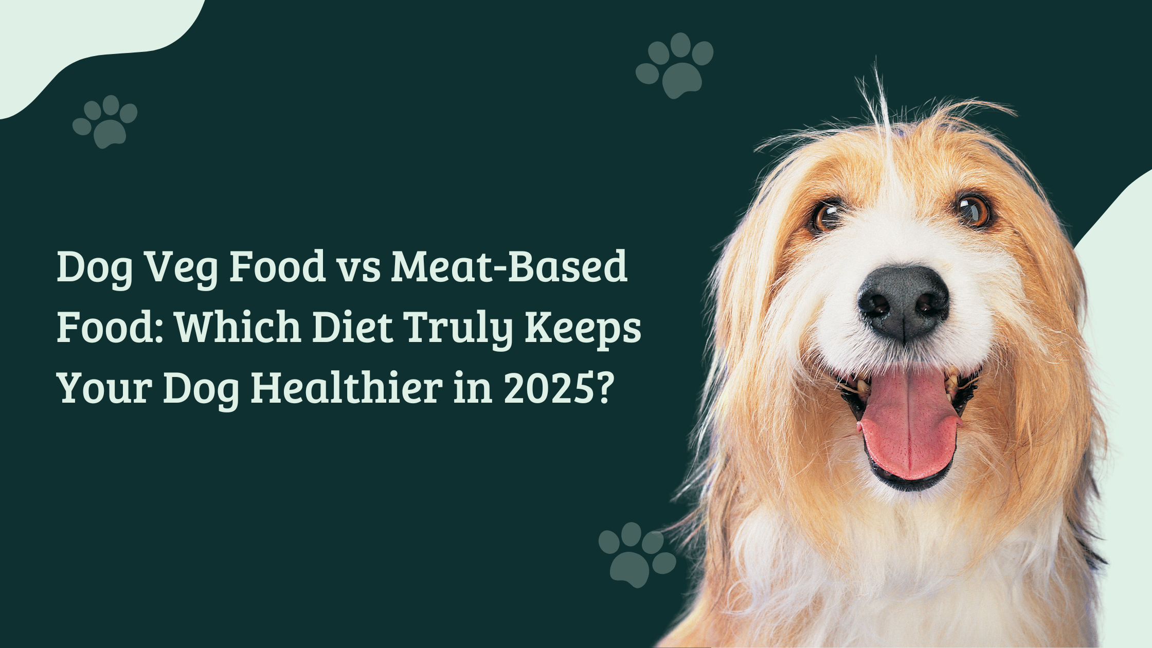 Happy dog beside blog title text ‘Dog Veg Food vs Meat-Based Food: Which Diet Truly Keeps Your Dog Healthier in 2025?’ on a dark green background with paw prints, pet nutrition comparison banner image.