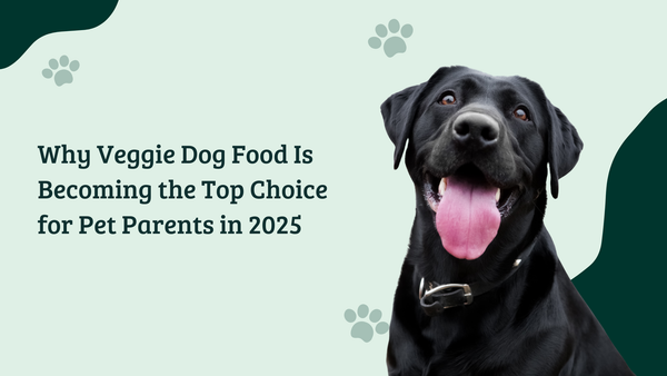 Are Veg Treats for Dogs Healthy or Just Trendy? What Nutrition Experts Say