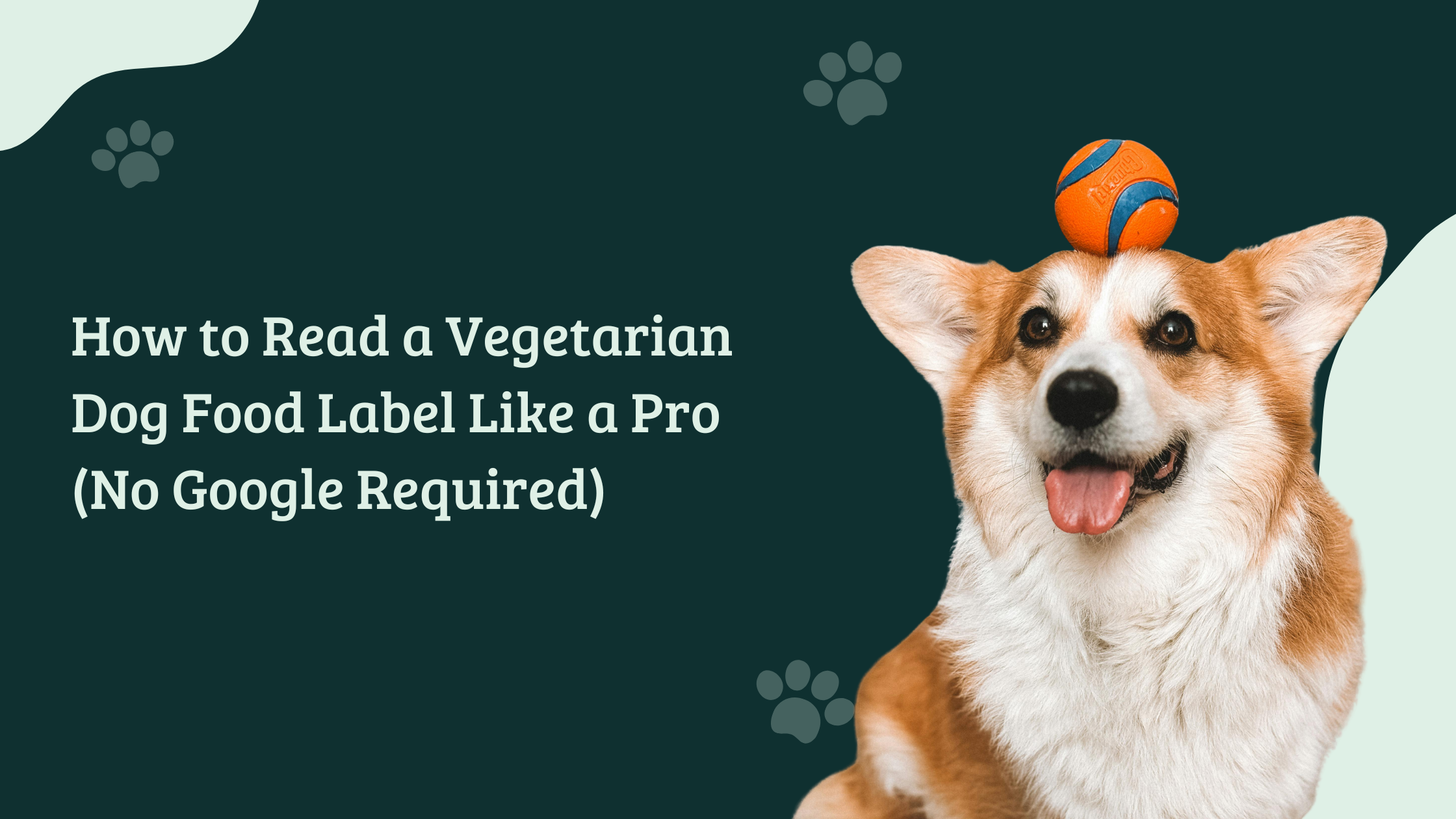 How to Read a Vegetarian Dog Food Label Like a Pro (No Google Required)