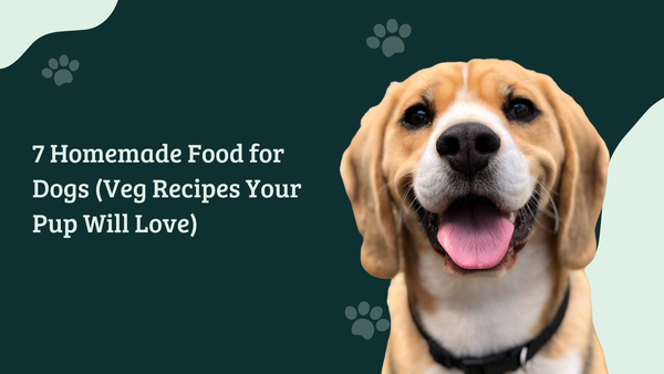 7 Homemade Food for Dogs (Veg Recipes Your Pup Will Love)