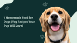 7 Homemade Food for Dogs (Veg Recipes Your Pup Will Love)