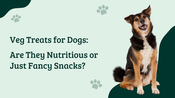 Veg Treats for Dogs: Are They Nutritious or Just Fancy Snacks?