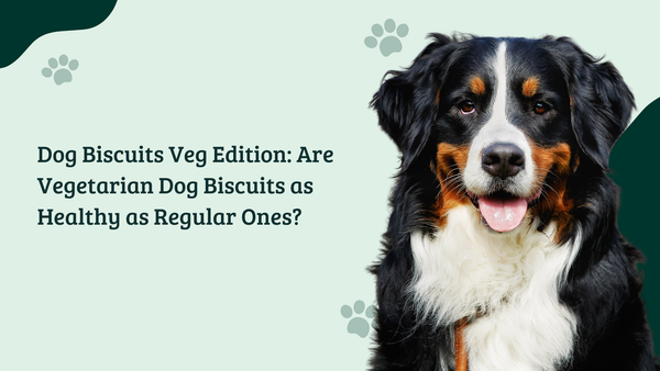 Dog Biscuits Veg Edition: Are Vegetarian Dog Biscuits as Healthy as Regular Ones?