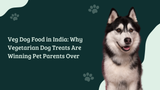 Veg Dog Food in India: Why Vegetarian Dog Treats Are Winning Pet Parents Over