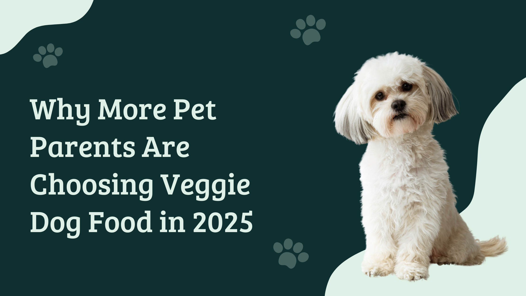 Cute white dog featured in HungryPaws blog on why pet parents choose veggie dog food in 2025