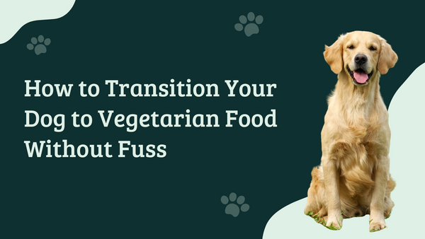 How to Transition Your Dog to Vegetarian Food Without Fuss