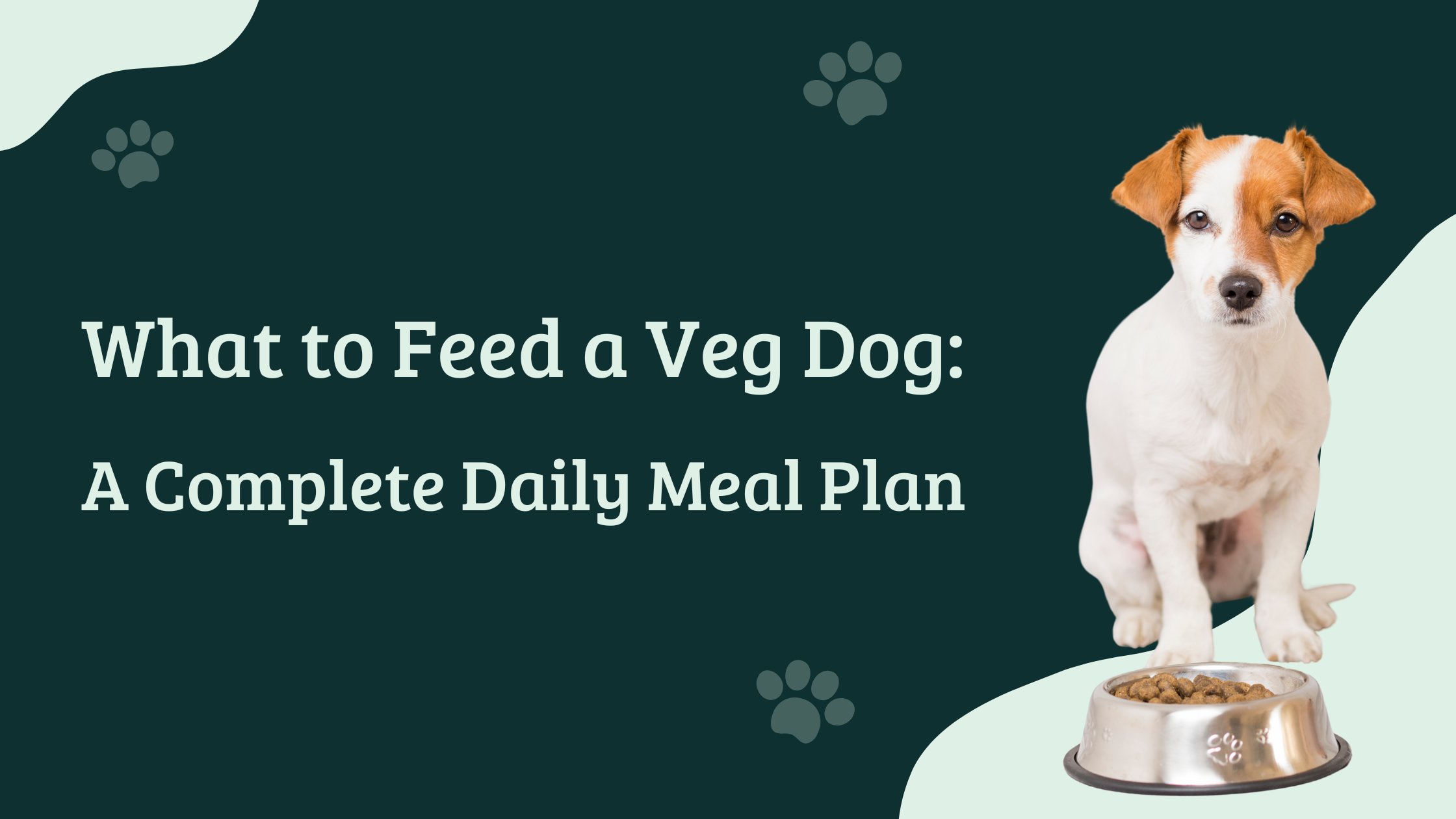 What to feed a veg dog - daily vegetarian dog food plan with dog image