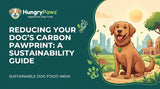 Reducing Your Dog's Carbon Pawprint: A Sustainability Guide to Sustainable Dog Food India (Jun 05, 2026)