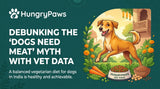 Debunking the Meat Myth: Building a Balanced Vegetarian Diet for Dogs India (May 02, 2026)