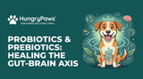 Probiotics & Prebiotics: Healing the Gut-Brain Axis With Prebiotic Probiotic Dog Food Vegetarian (May 03, 2026)