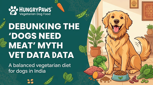Debunking 'Dogs Need Meat': The Truth About a Balanced Vegetarian Diet for Dogs in India, Backed by Vet Data (Jun 06, 2026)