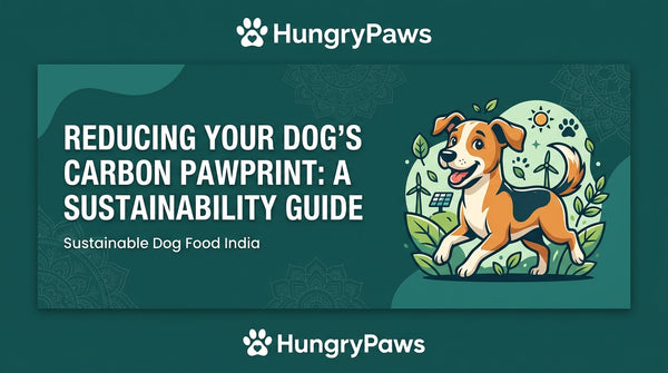 Reducing Your Dog's Carbon Pawprint: A Guide to Sustainable Dog Food India (Jul 24, 2026)